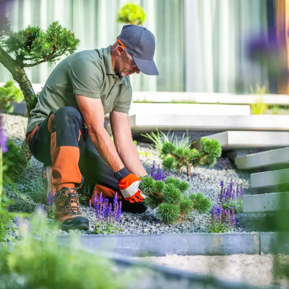 Ready to improve your home or garden?